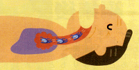24.gif 200×101 14K 24.gif 200×101 14K