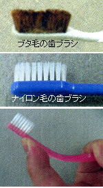grp0805222500.jpg 150275 24K