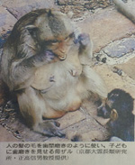 grp0311212527.jpg 150×229 36K grp0311212527.jpg 150×229 36K