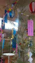 grp0727130552.jpg 120×214 23K grp0727130552.jpg 120×214 23K